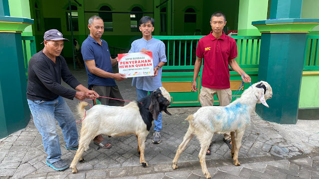 MPM Honda Jatim Bagikan Hewan Kurban untuk Masyarakat di Sekitar Kantor&nbsp;Operasional